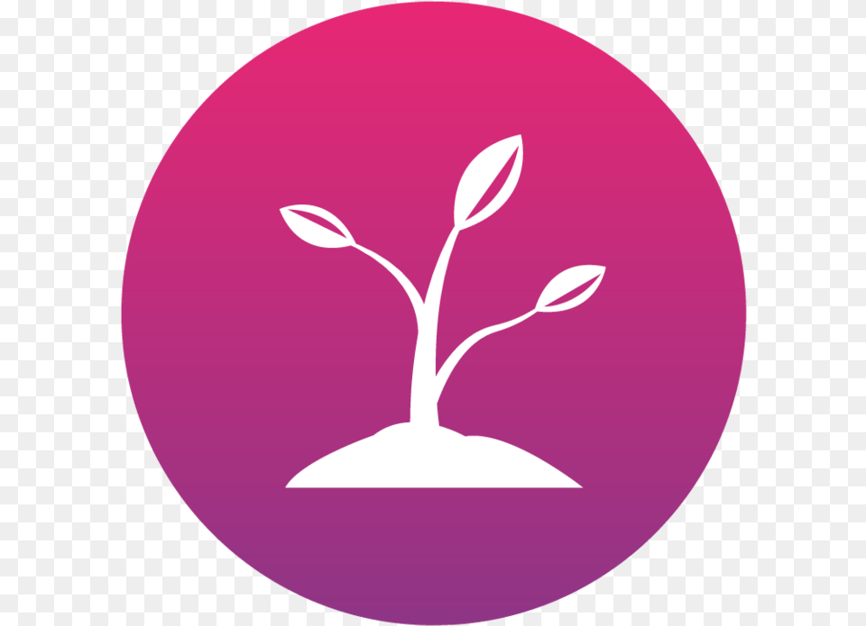 Growth Icon Icon, Flower, Plant, Purple, Astronomy Free Png Download