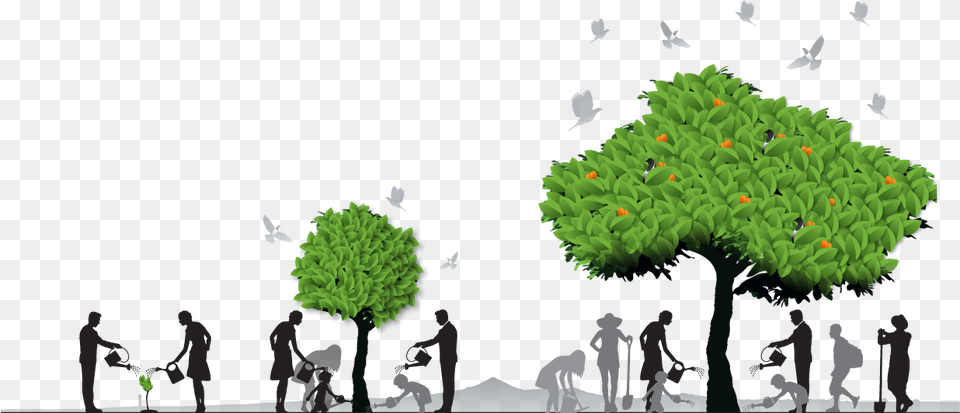 Growth Of Tree, Vegetation, Plant, Green, Person Png