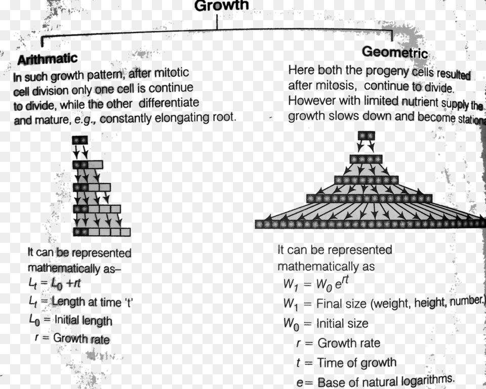 Growth Rate And Types Of Growth Rate In Plants Geometric Growth In Plants, Chart, Plot, Diagram, Plan Png Image