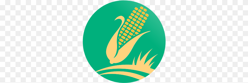 Growth Story Is Poised For A Facelift With Agriculture, Corn, Food, Grain, Plant Free Png Download