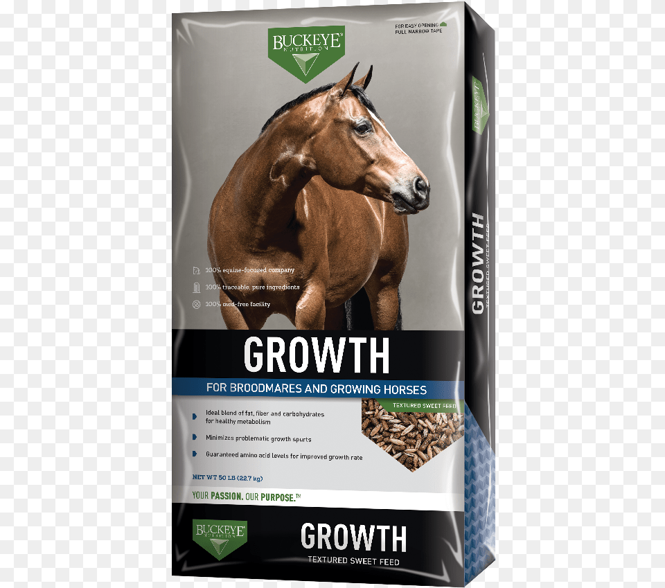 Growth Textured Sweet Feed Buckeye Nutrition, Advertisement, Poster, Animal, Colt Horse Png