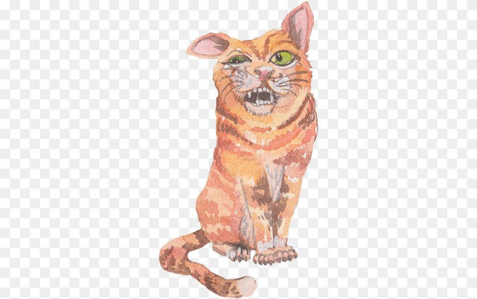 Grumpy Animals By Rhea Dennis Messages Sticker 3 Cat Yawns, Animal, Egyptian Cat, Mammal, Pet Png