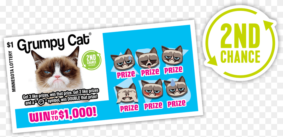 Grumpy Cat 2ndchance Grumpy Cat Lottery Ticket, Advertisement, Poster, Sticker, Animal Png Image