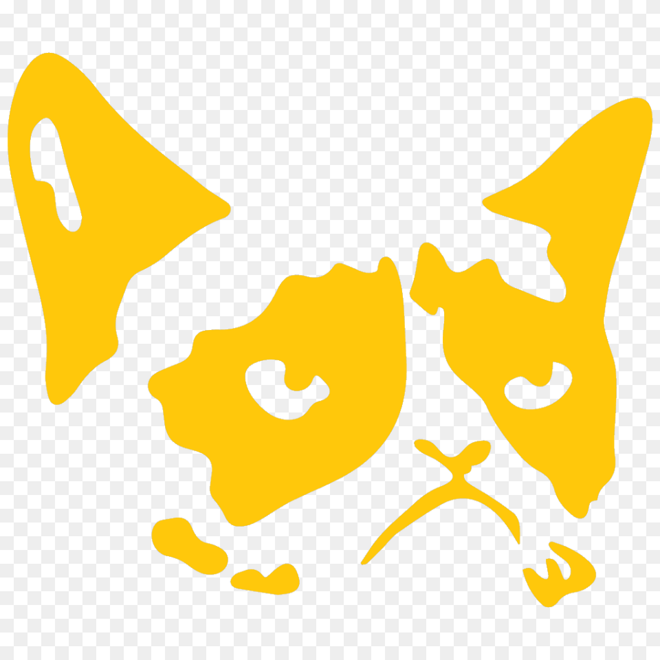 Grumpy Cat, Animal, Invertebrate, Insect, Wasp Free Transparent Png