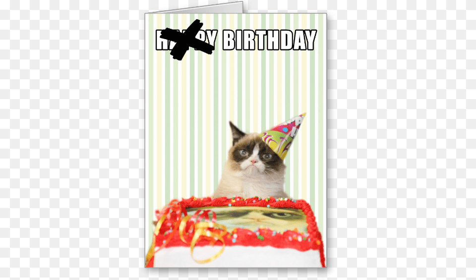 Grumpy Cat Birthday Card Happy Birthday Grumpy, Hat, Clothing, Food, Dessert Free Transparent Png