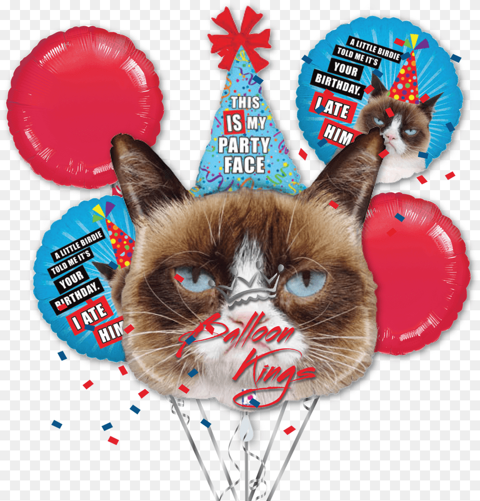 Grumpy Cat Bouquet, Chart, Plot, Map, Person Free Transparent Png