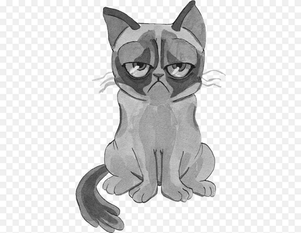 Grumpy Cat Cartoon, Art, Drawing, Baby, Person Free Png Download