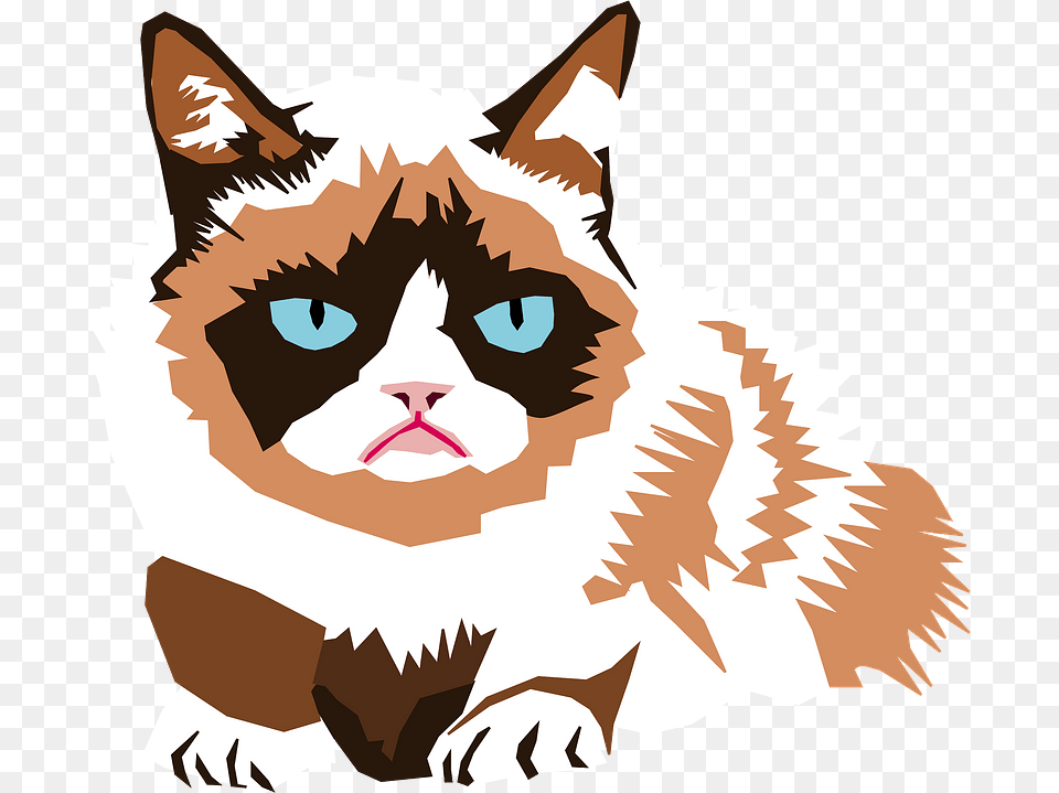 Grumpy Cat Clipart Daily Meme Calendar 2020, Baby, Person, Art, Face Free Transparent Png