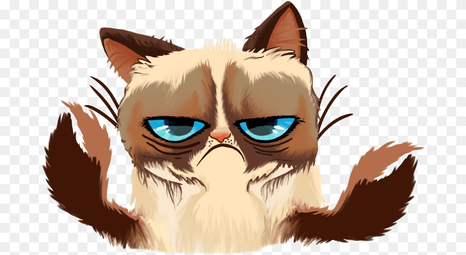 Grumpy Cat Face Grampi Ket, Baby, Person, Animal, Mammal Png Image