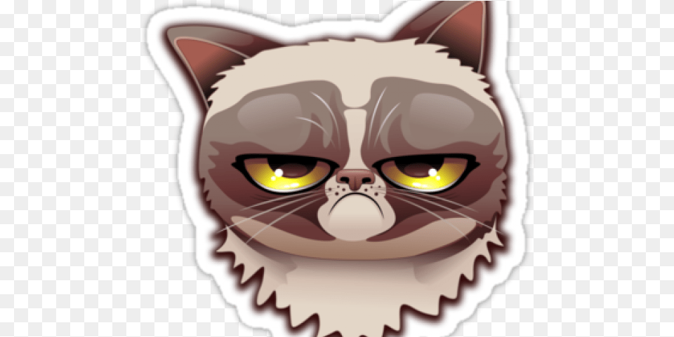 Grumpy Cat Face Vector, Baby, Person, Animal, Mammal Free Transparent Png