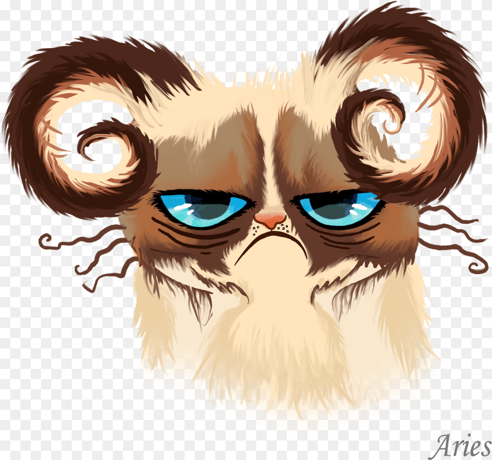 Grumpy Cat Horoscopes Sagittarius Zodiac Signs As Cats, Art, Baby, Person, Drawing Png