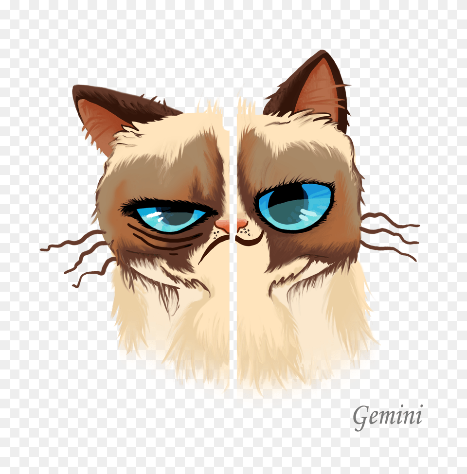 Grumpy Cat Horoscopes Vitas Portfolio, Art, Person, Drawing, Animal Png Image