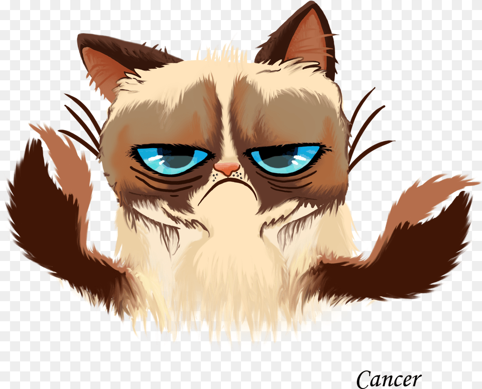 Grumpy Cat Kitten Cats And The Internet Grumpy Cat Vector, Baby, Person, Animal, Mammal Free Png