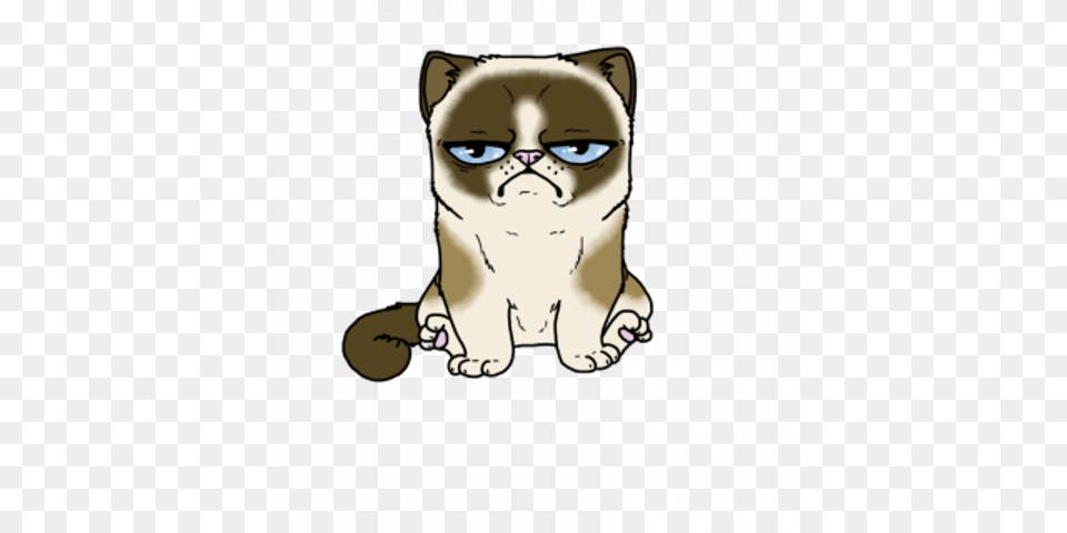 Grumpy Cat Mug, Baby, Person, Animal, Face Free Png Download