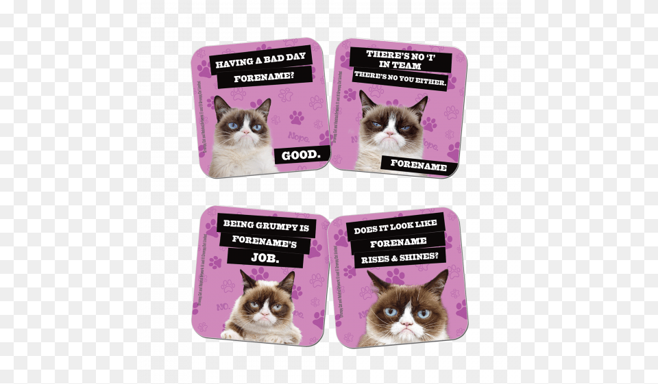 Grumpy Cat Pink Coasters Kitten, Animal, Mammal, Pet, Text Png