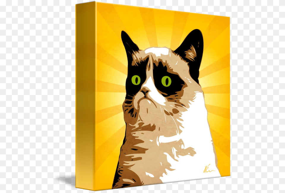 Grumpy Cat Pop Art, Animal, Mammal, Pet Free Png