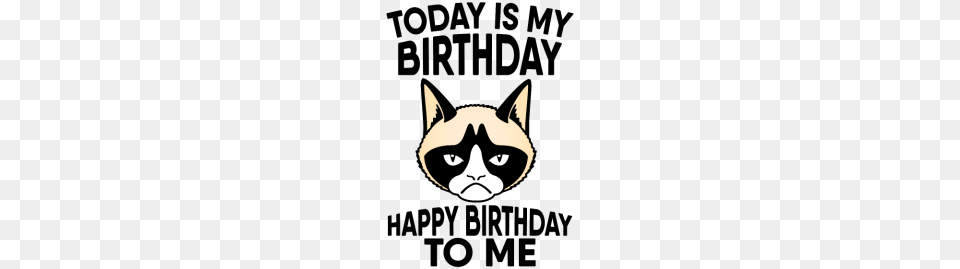 Grumpy Cat Today Is My Birthday Happy Birthday, Stencil, Shark, Sea Life, Animal Png Image