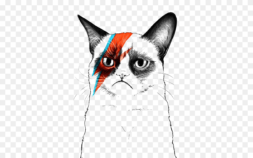 Grumpy Cat Tumblr Transparent, Art, Drawing, Animal, Mammal Png Image