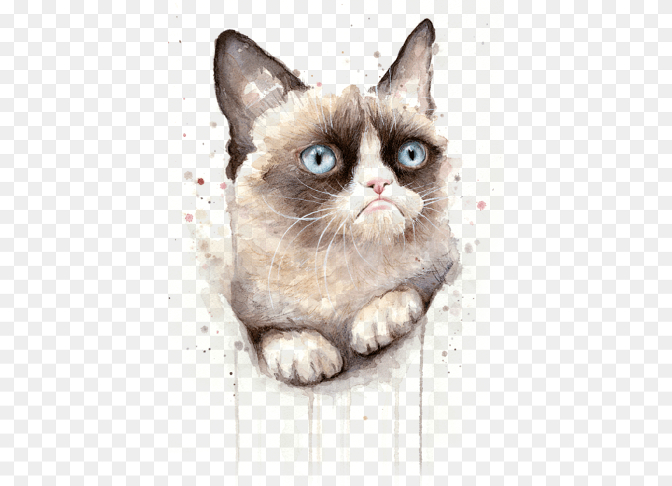 Grumpy Cat Watercolor, Art, Painting, Animal, Mammal Png Image