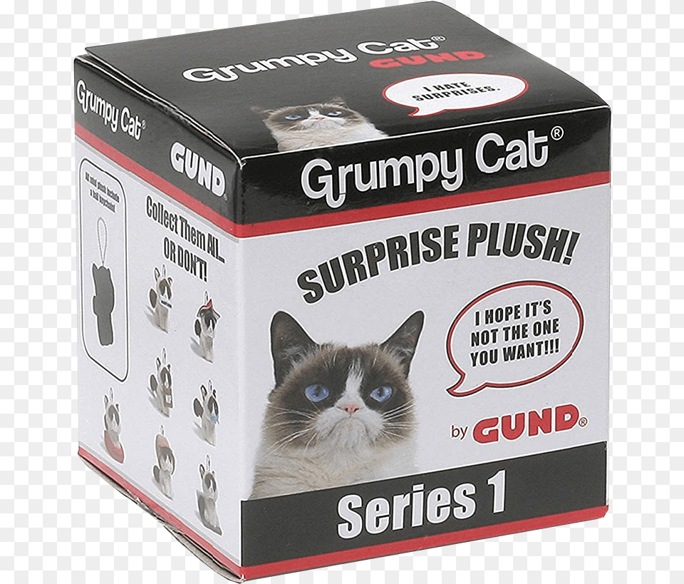 Grumpy Grumpy Cat 2018 Calendar, Box, Cardboard, Carton, Animal Png