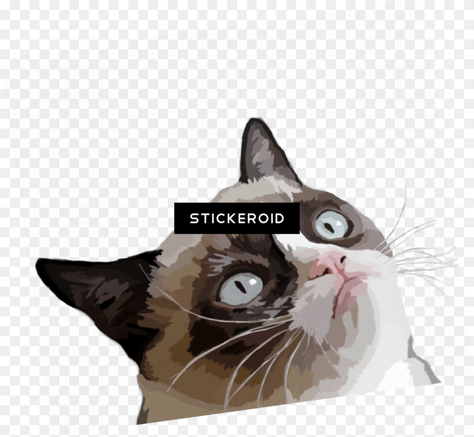 Grumpy Illustration Meme Schoolsupplies Grumpy Cat Mouse Pad Office Amp Gaming, Animal, Mammal, Pet Free Png Download