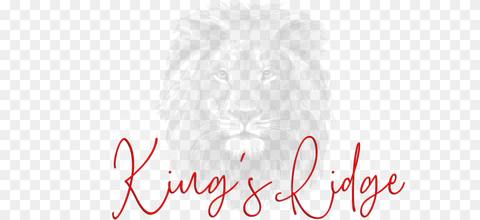 Grunge Crown 6 Masai Lion, Animal, Wildlife, Mammal, Wedding Png Image