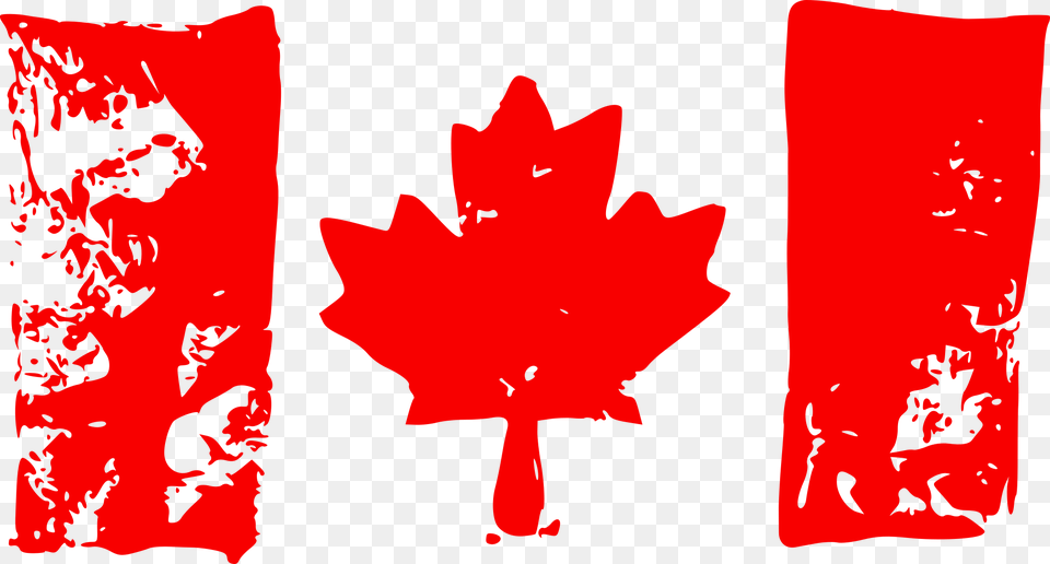 Grunge Flag Of Canada 5 Canada Flag, Plant, Leaf, Animal, Pet Free Transparent Png