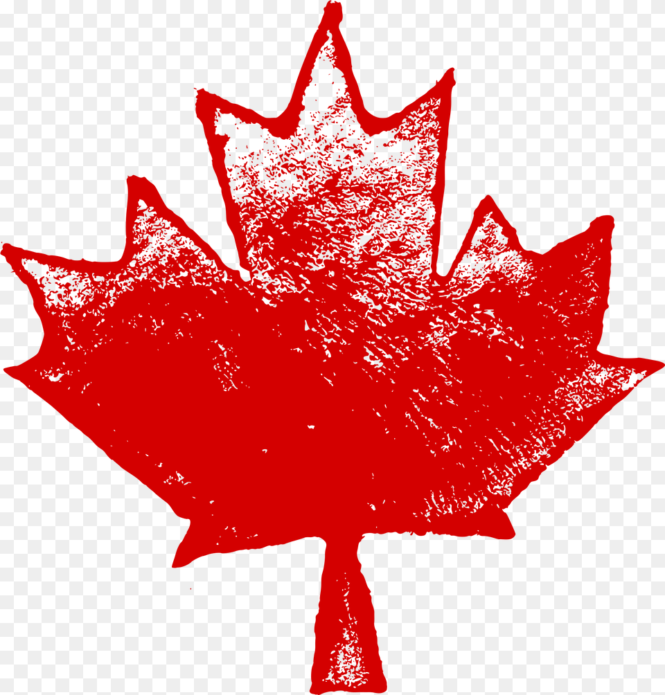 Grunge Maple Leaf Flag, Plant, Tree, Maple Leaf, Person Free Transparent Png