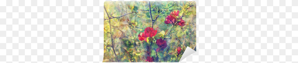 Grunge Messy Watercolor Splatter And Twigs With Red Watercolor Painting, Flower, Geranium, Plant, Art Free Transparent Png