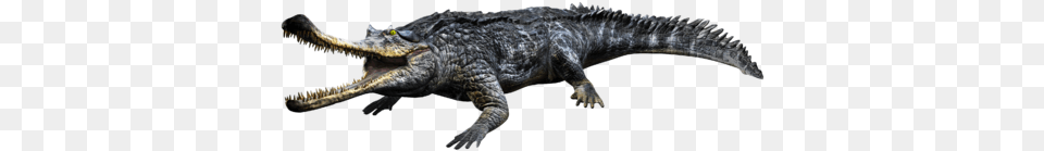 Gryposuchus Wiki, Animal, Lizard, Reptile, Crocodile Free Png