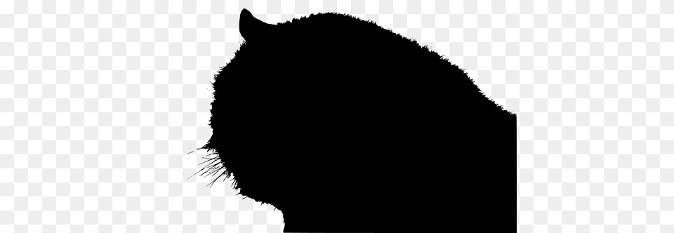 Gt Animal Cat Face Cartoon, Gray Png Image