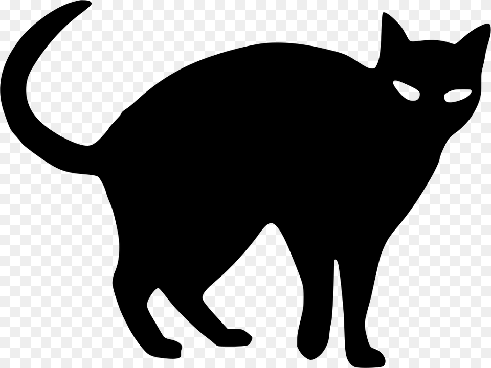 Gt Animal Cat Tail Pet, Gray Free Png