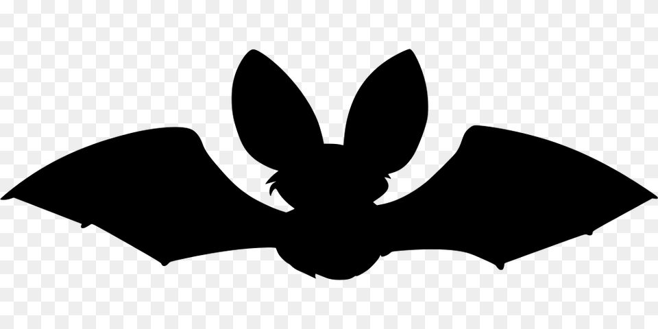 Gt Animal Dark Bat Night, Gray Png