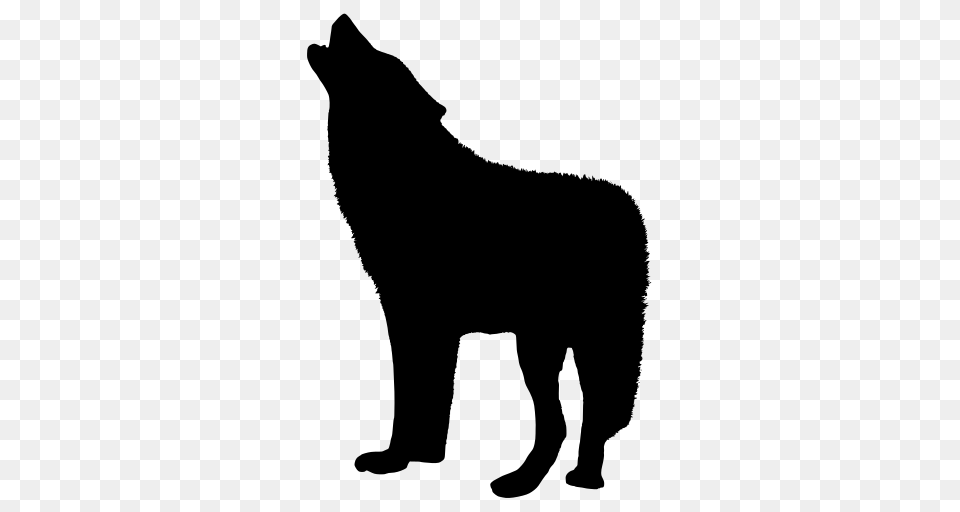 Gt Animal Wolf, Gray Free Png
