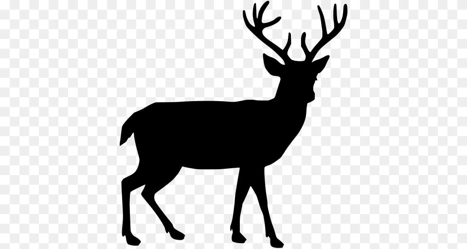 Gt Antler Deer Stag, Gray Free Png