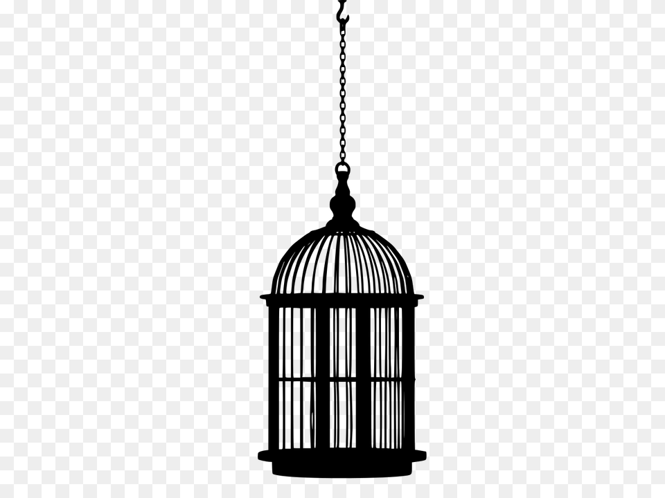 Gt Bird Cage Closed Hanging, Gray Free Transparent Png