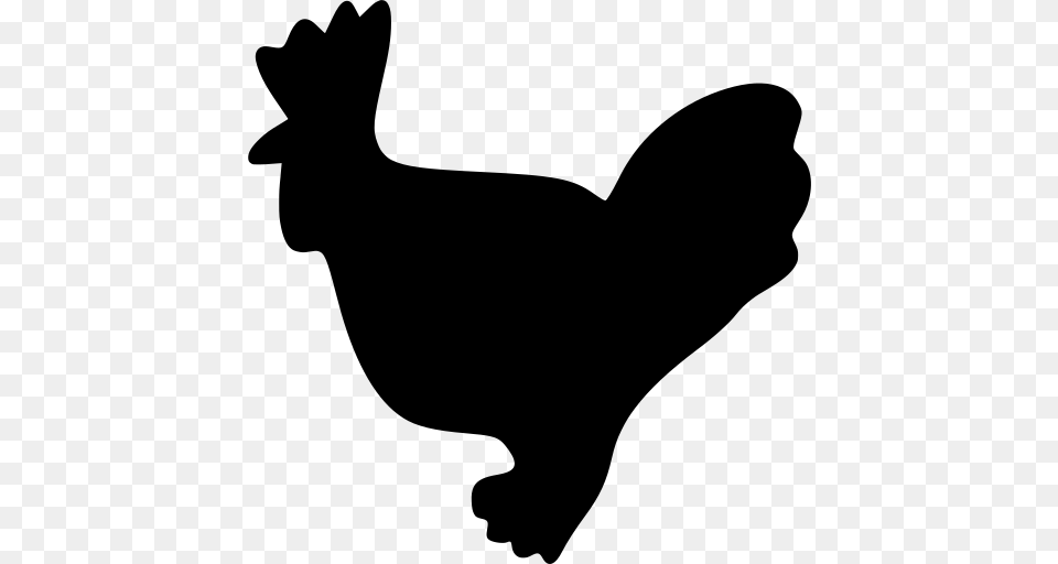 Gt Chicken Bird Rooster, Gray Png Image