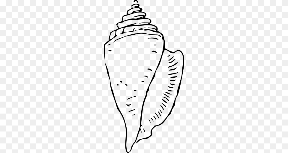 Gt Conch Shell Seashell, Gray Png