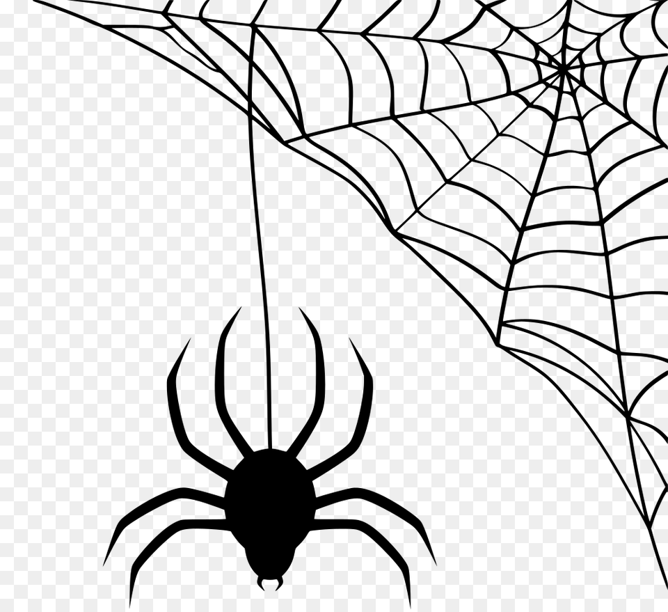 Gt Creepy Spider Halloween Network, Gray Png