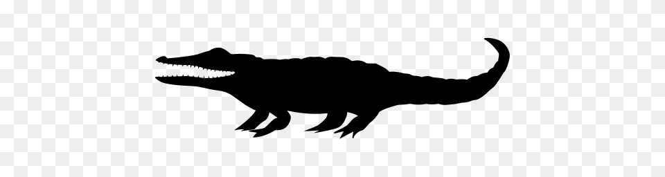 Gt Crocodile Animal Alligator Sketch, Gray Png Image