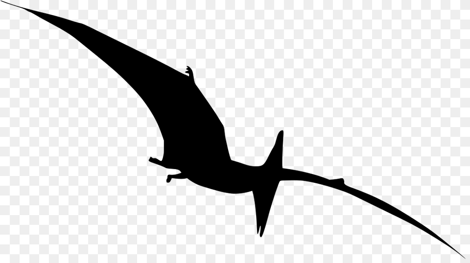Gt Dinosaur Pterodactyl Ancient, Gray Free Png