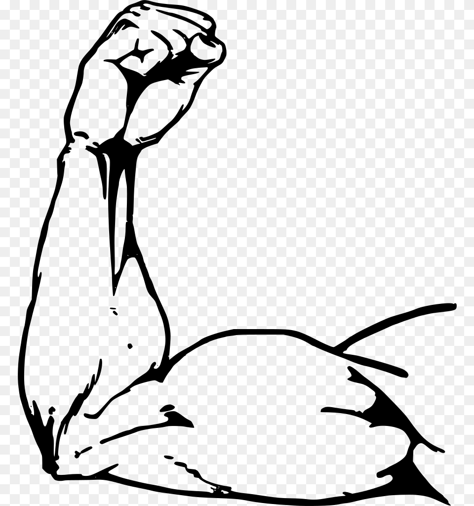 Gt Fist Human Exercise Power, Gray Free Png Download
