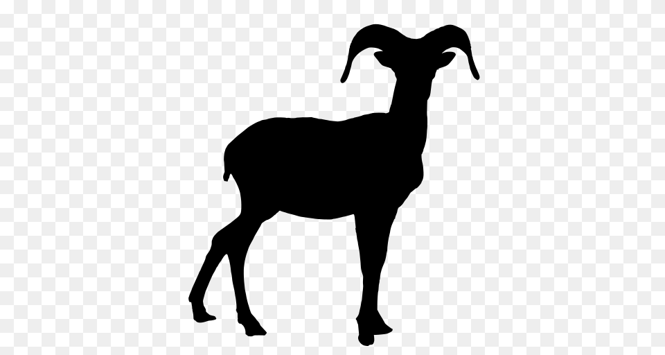 Gt Goat, Gray Free Png Download