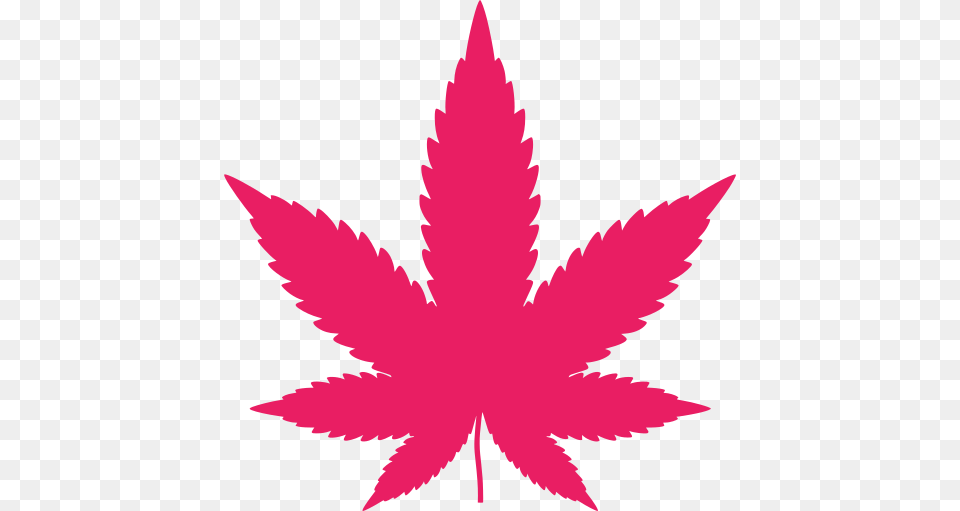 Gt Hemp Cannabis Leaf, Purple, Maroon, Art Free Png