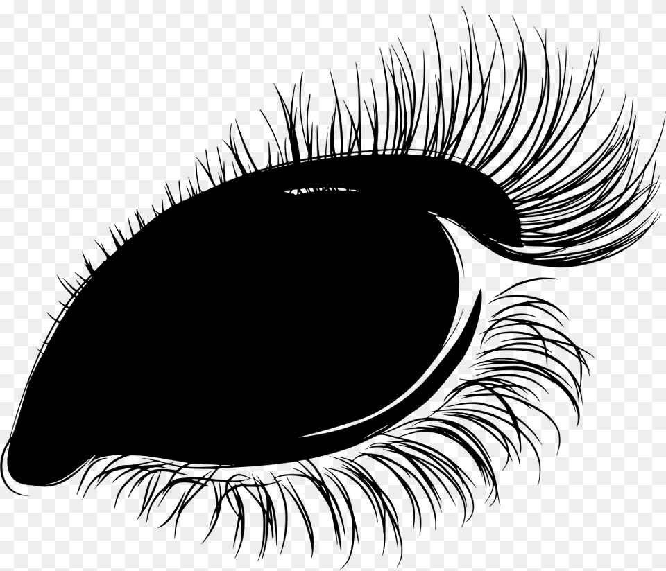 Gt Iris Pupil Women Eye, Gray Free Transparent Png