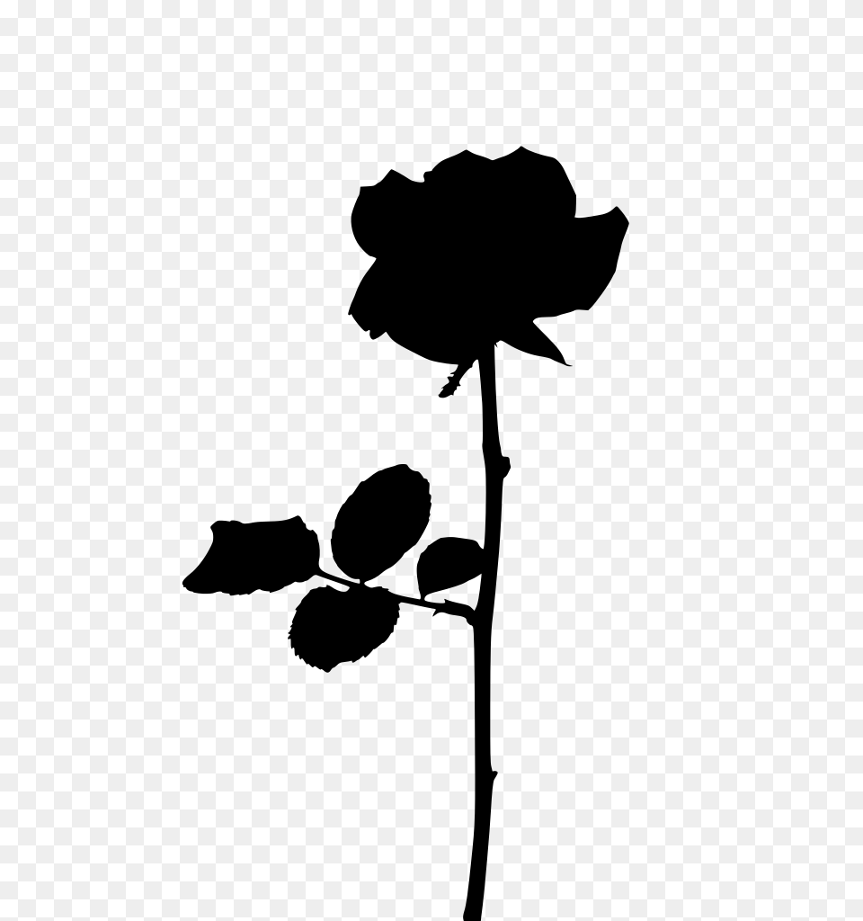 Gt Isolated Orange Rose, Gray Png