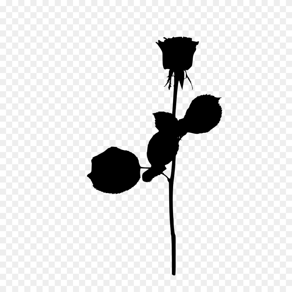 Gt Love Isolated Rose, Gray Free Transparent Png