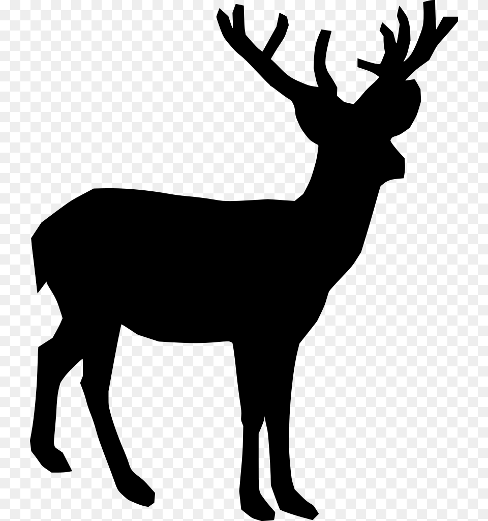Gt Mammal Animal Horn Deer, Gray Free Png