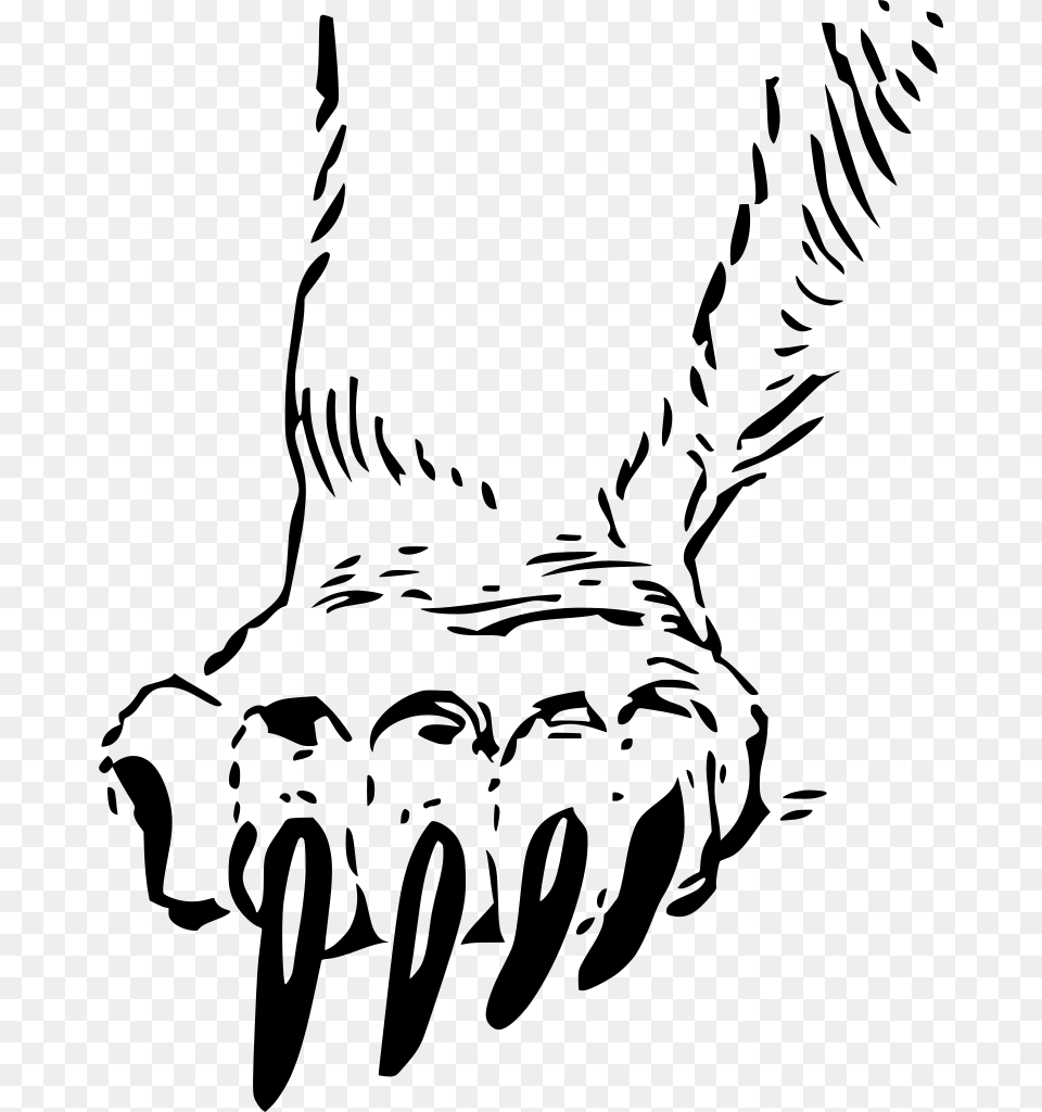 Gt Paw Animal Claw, Gray Free Transparent Png