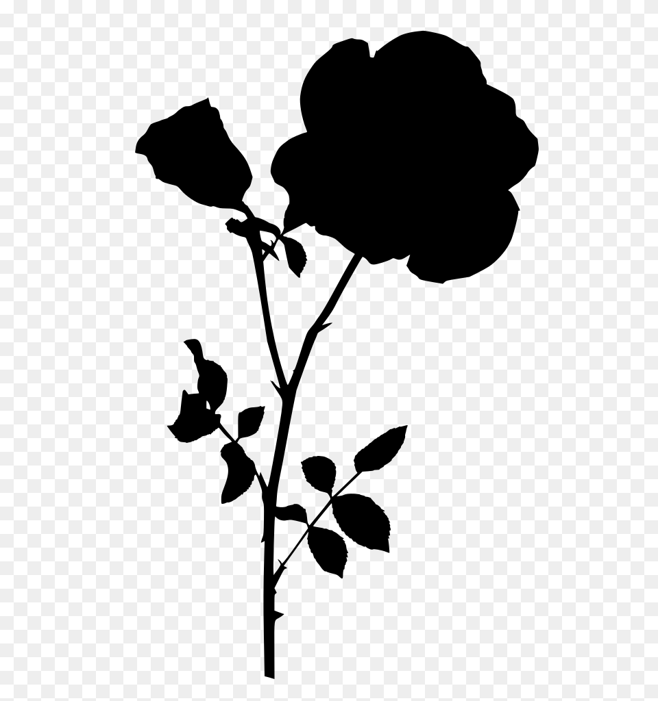 Gt Stem Rose, Gray Free Transparent Png